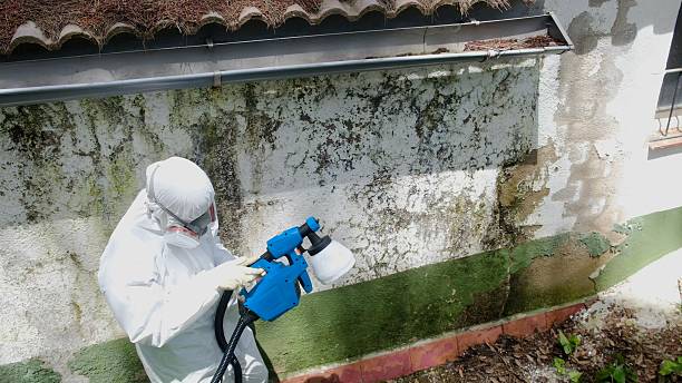 Trusted Mold Testing service in Lowell, MA - Cheap Mold Removal